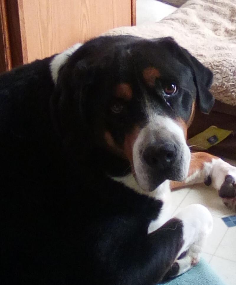 Ranger 10th birthday