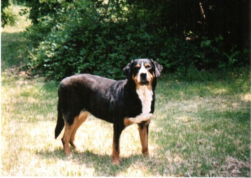 Tye on her 11th birthday - happy, happy girl