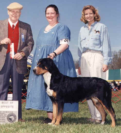 Tye wins at old dominion kennel club show