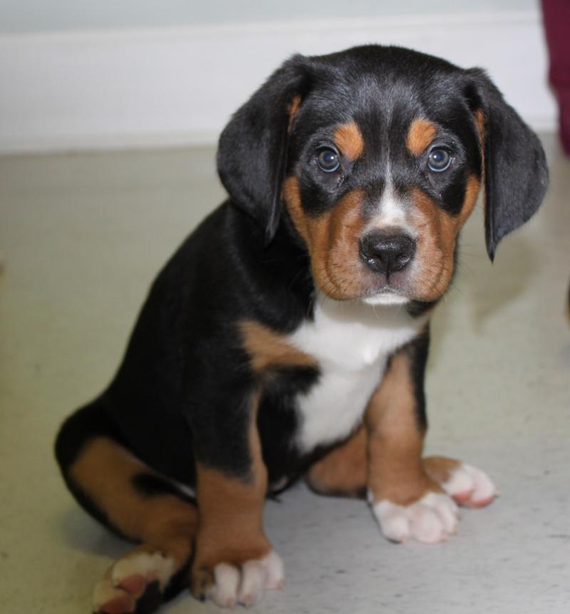 Flopsy Isabel silly sit