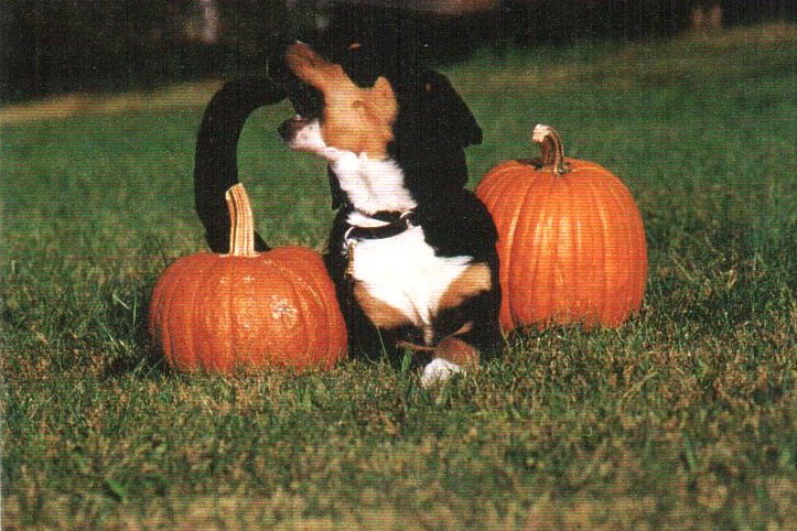 Sean and a pumkpin tale oct 1994